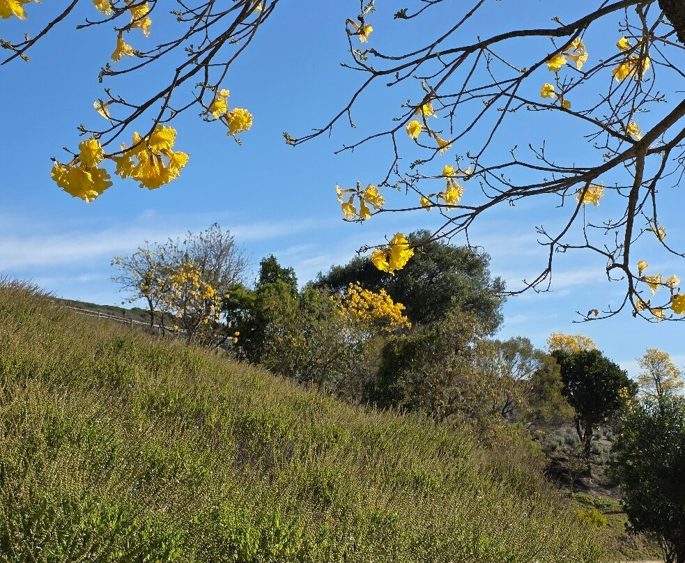 Lavandario-Cunha必去景点