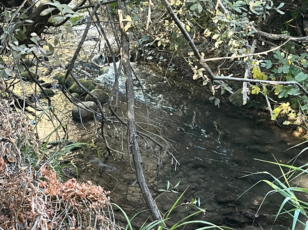 Sendero Rio Majaceite-El Bosque必去景点