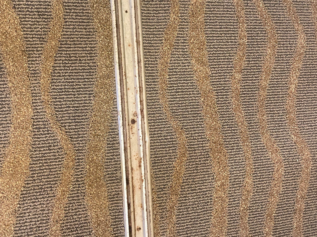 Homewood Suites by Hilton Philadelphia-Valley Forge主图