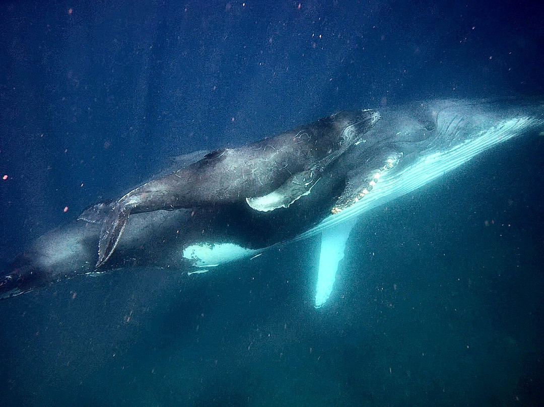 Mozambique Experience-Praia da Barra必去景点