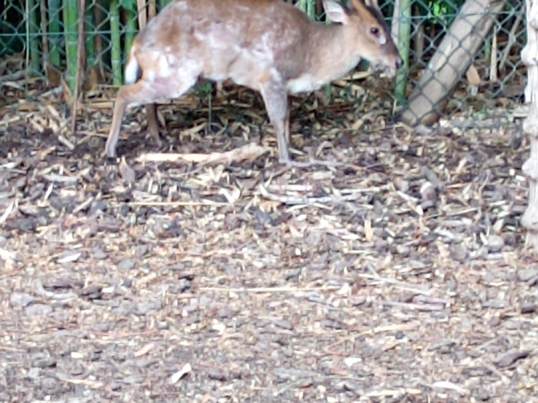 Butterfly Park Empuriabrava-Castello d'Empuries必去景点