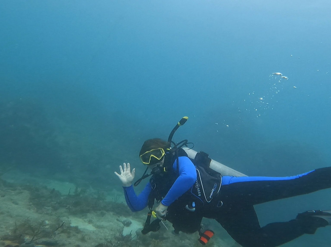 Looe Key Dive Center-Ramrod Key必去景点