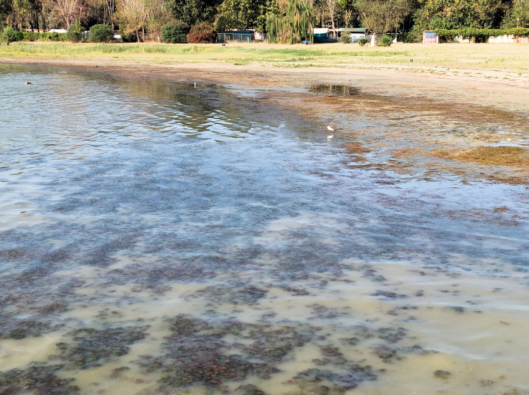 Spiaggia Tuoro Sul Trasimeno-Tuoro sul Trasimeno必去景点