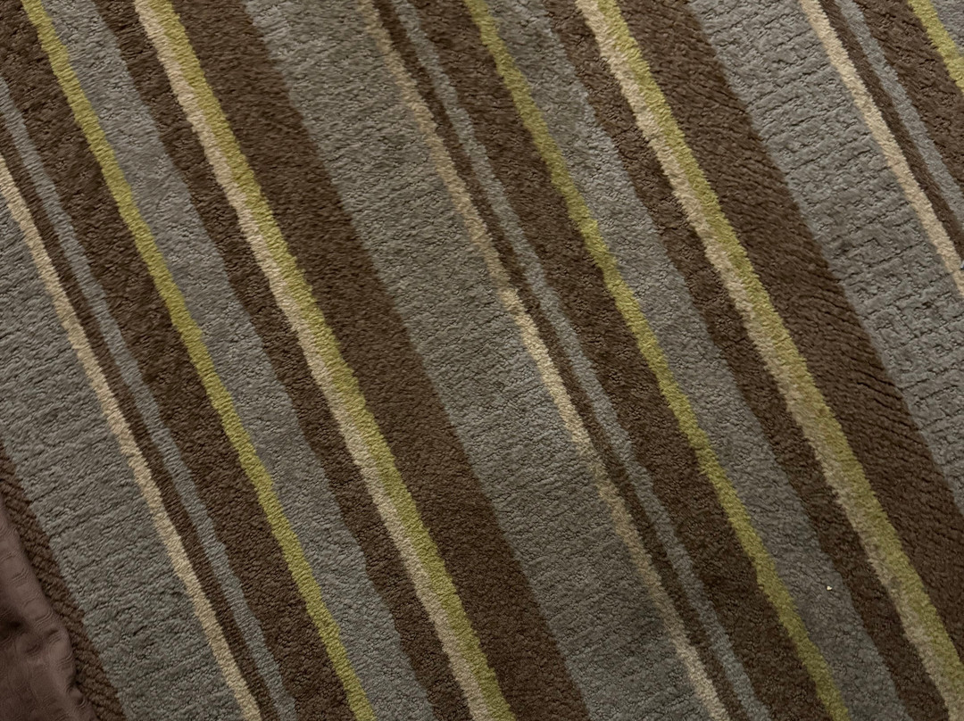 Super 8 by Wyndham Butte MT主图