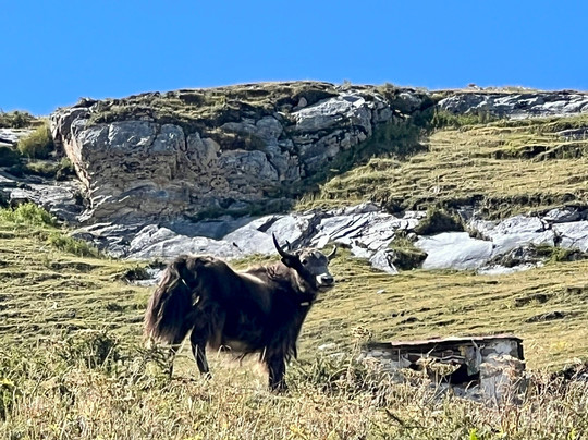 Xizang Guide-拉萨市必去景点