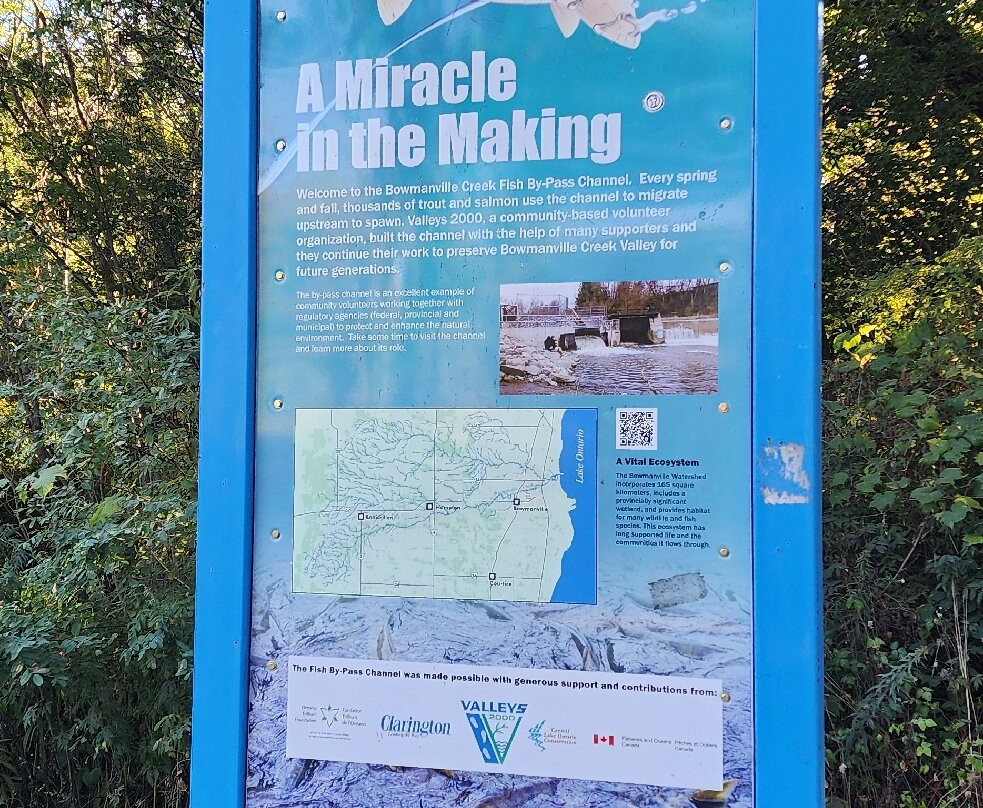 Bowmanville Creek Valley & Fish Ladder-Bowmanville必去景点