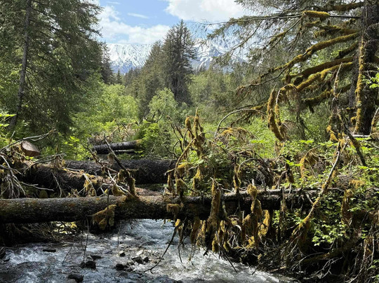 Atv Seward-苏厄德必去景点