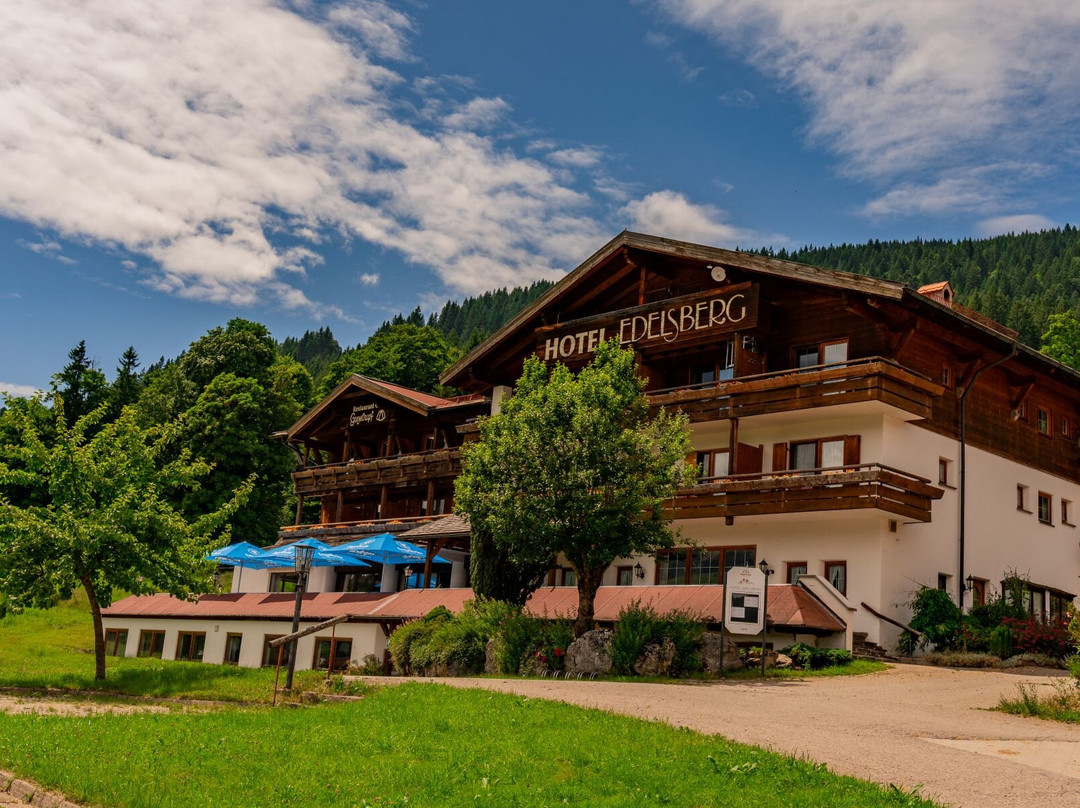 Berg- und Aktivhotel Edelsberg主图