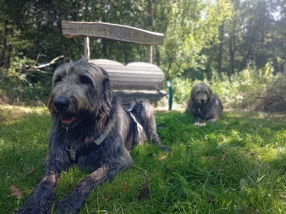 Wildpark Eekholt KG-Grossenaspe必去景点