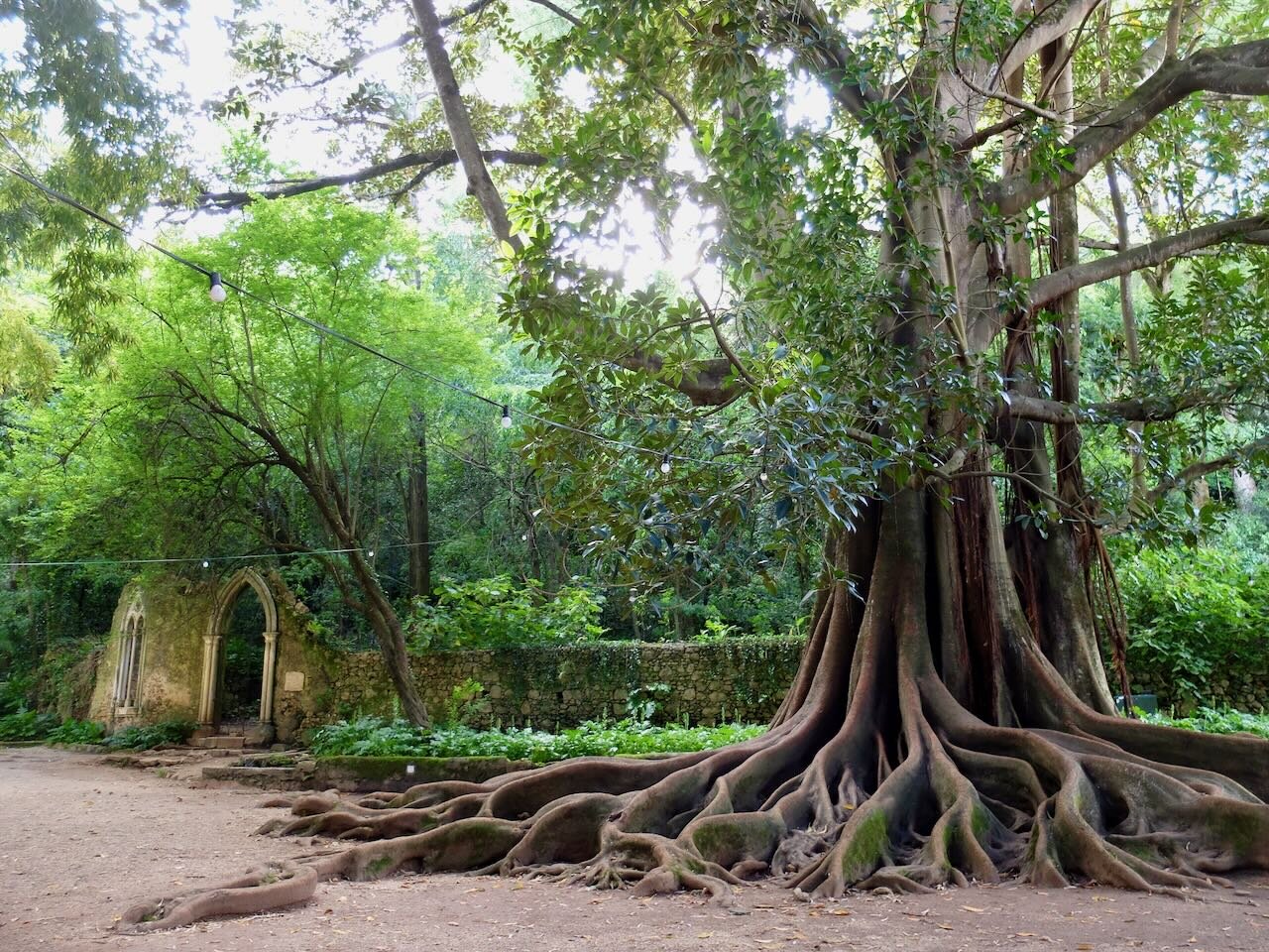 Quinta Das Lagrimas-浴室