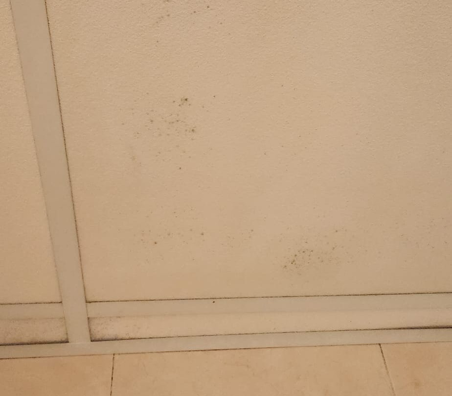 贝斯特韦斯特特里托尼酒店主图