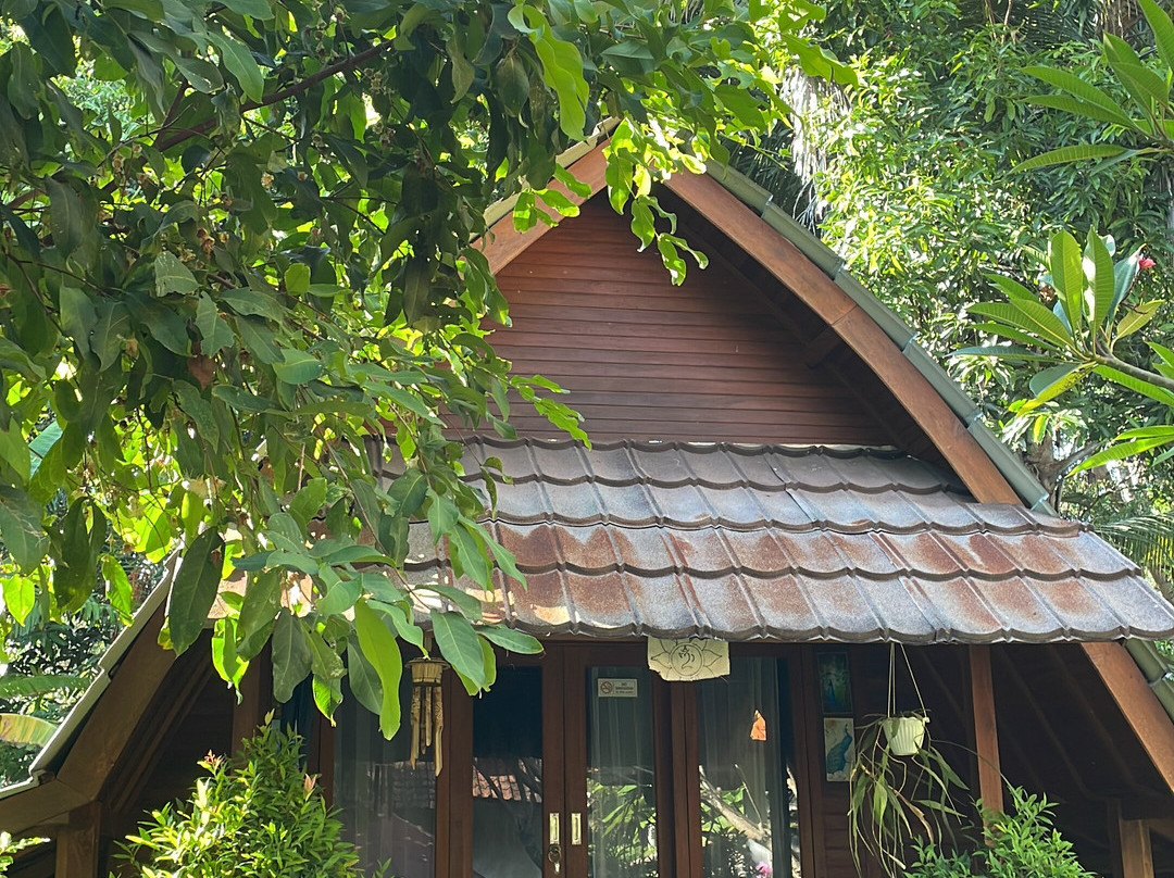 The Lumbung Tejakula主图