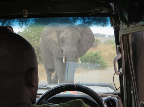 Tunu African Adventures-阿鲁沙必去景点