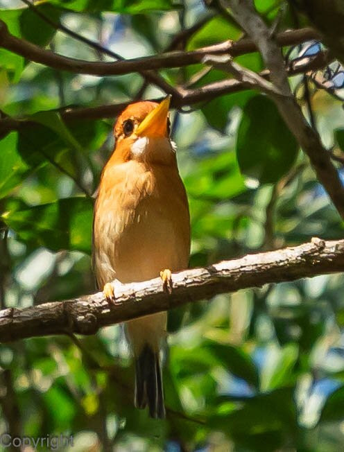 Australian Geographic Travel-悉尼必去景点