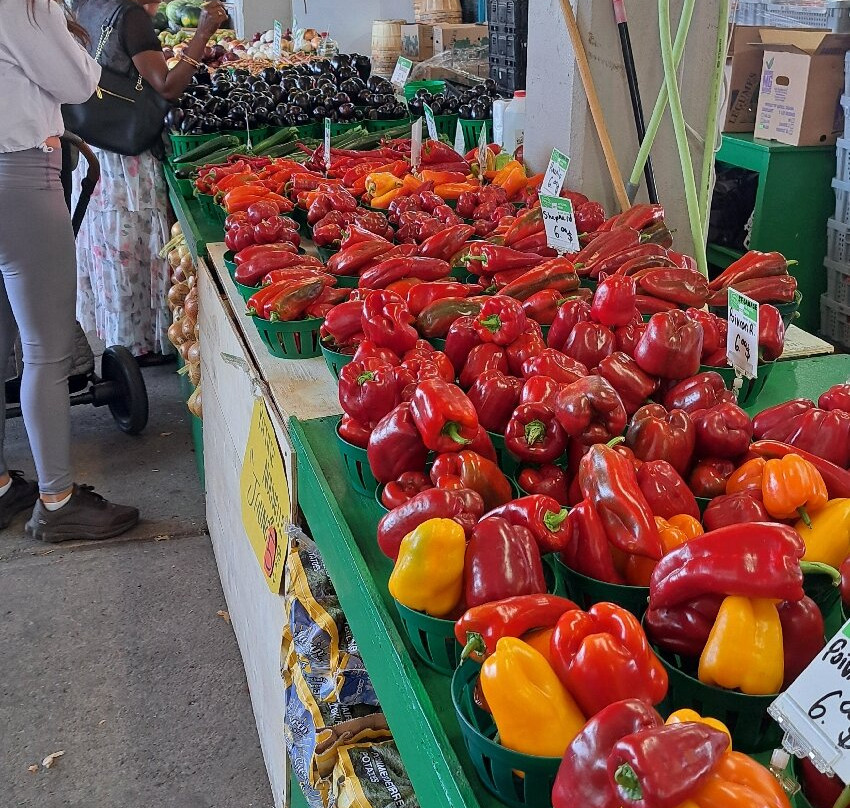 让塔隆集市-蒙特利尔必去景点