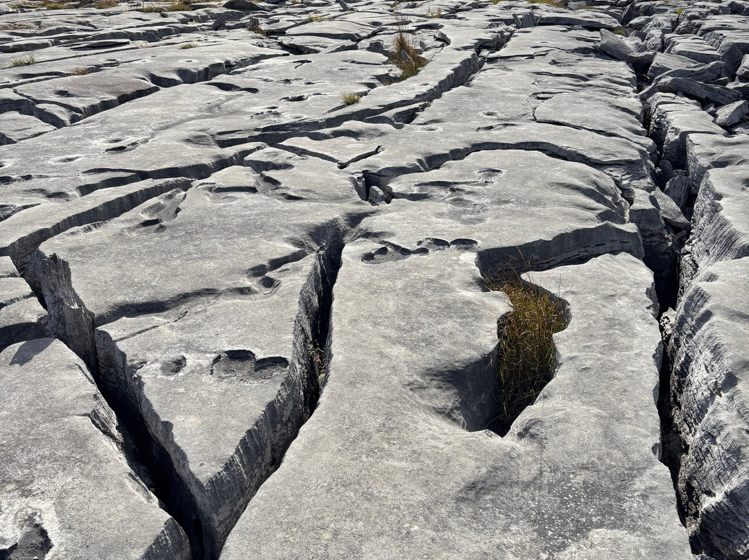 Burren Guided Walks & Hikes-Walking Day Tours-Fanore必去景点