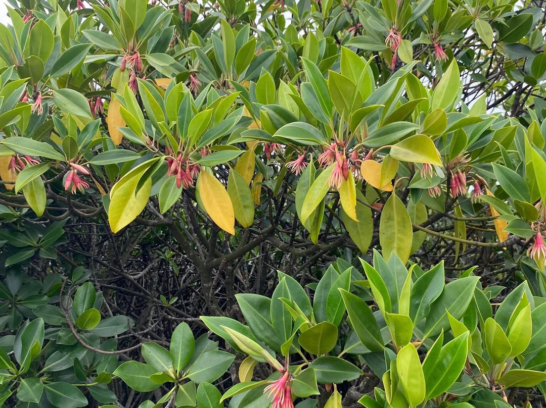 Blue Swimmer Outdoors-下龙湾必去景点