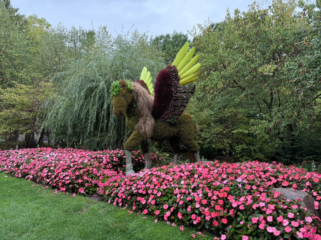 Niagara Parks Floral Showhouse-尼亚加拉大瀑布必去景点