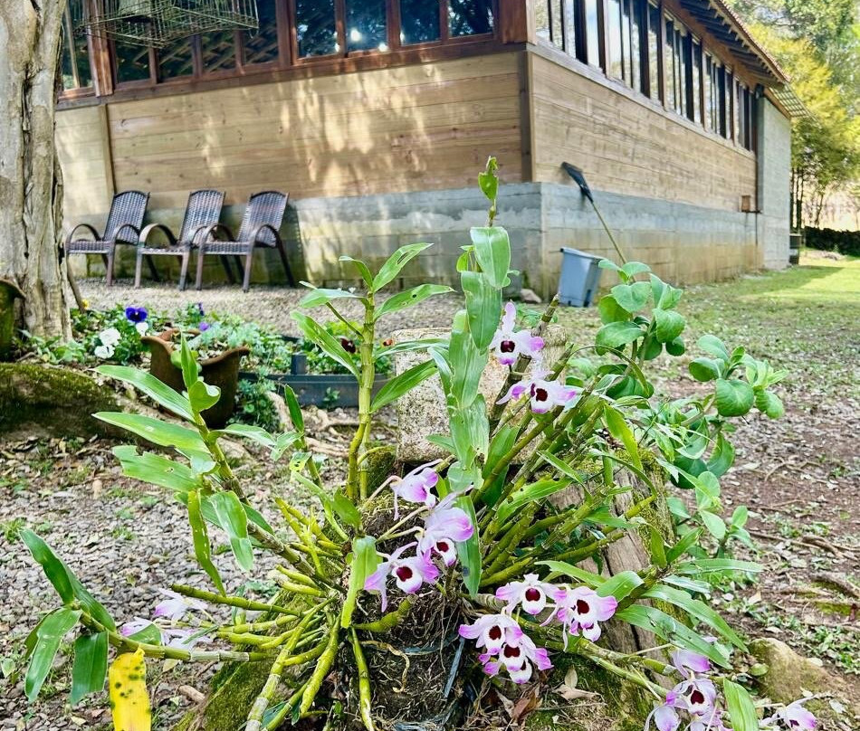 Doces Silber-Otavio Rocha必去景点