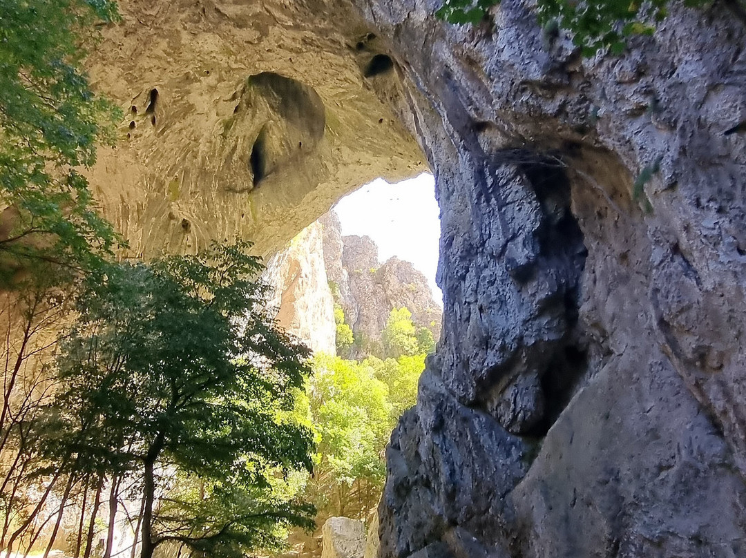 Vratna Monastery