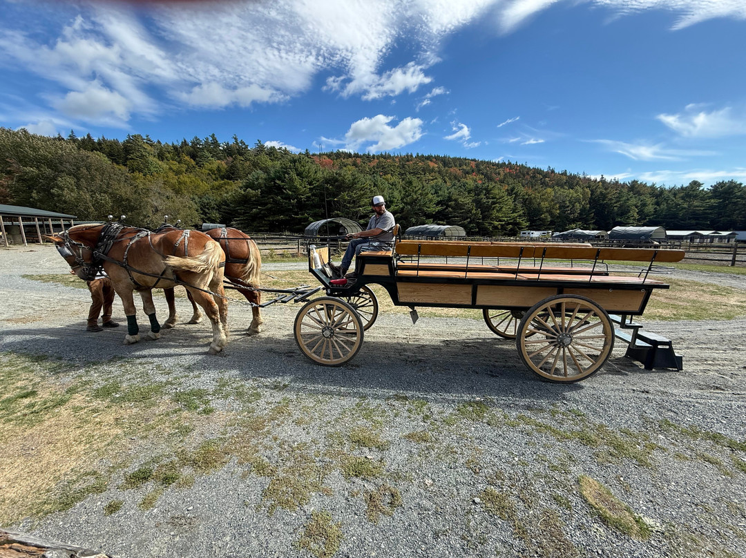 Carriages of Acadia-阿卡迪亚国家公园必去景点