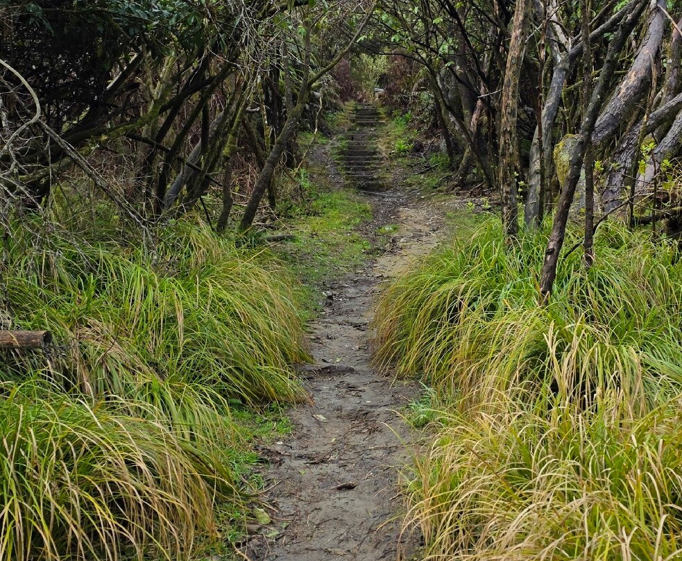 Buller Gorge Swingbridge Ltd-Murchison必去景点