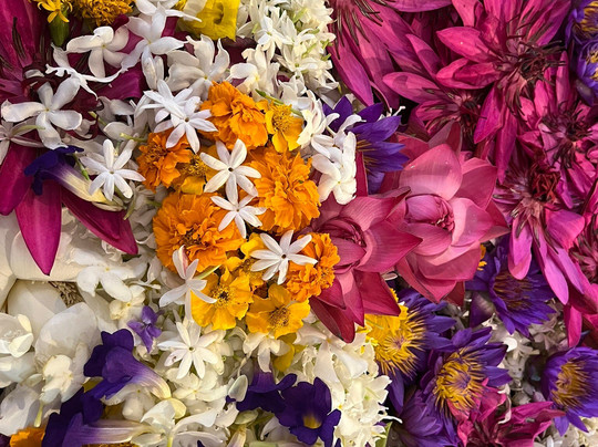 Travel With Sri-Ja Ela必去景点