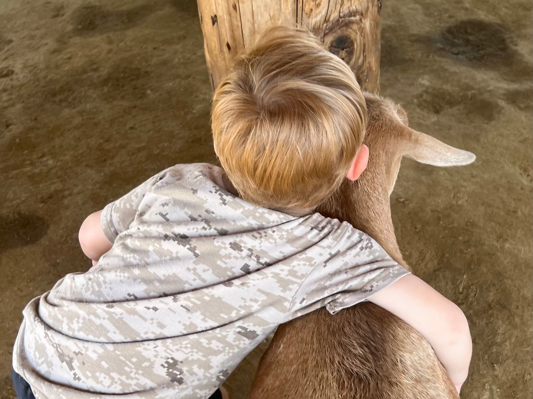 Wildlife World Zoo and Aquarium-Litchfield Park必去景点