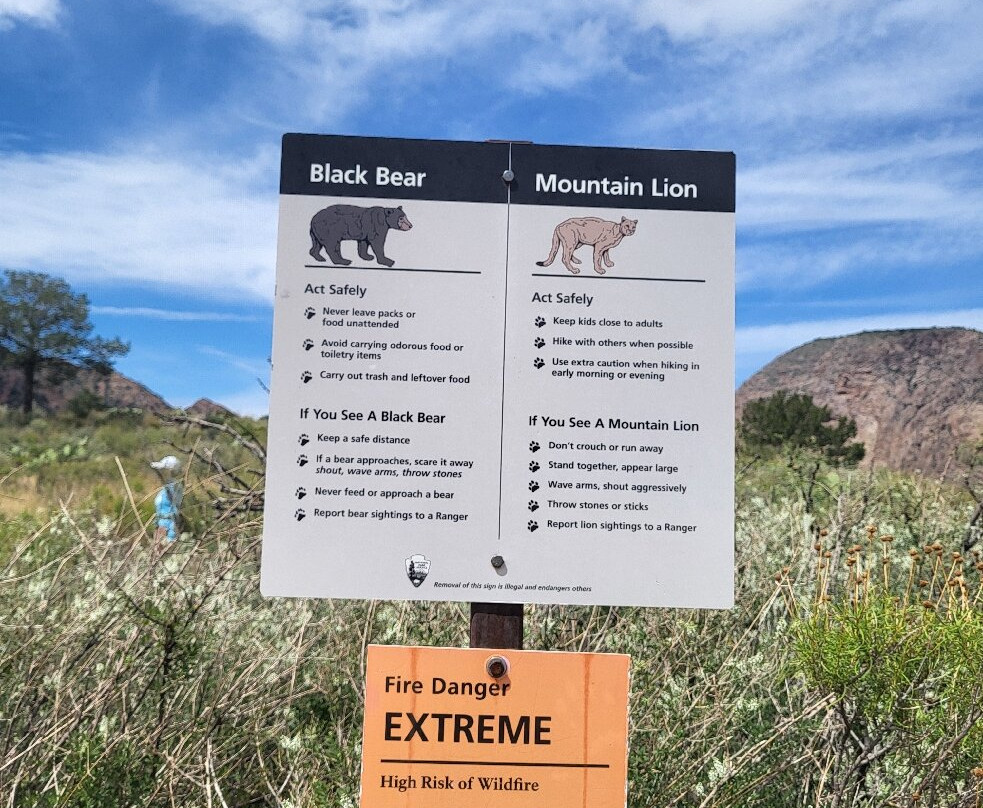 Chisos Mountains-大弯国家公园必去景点