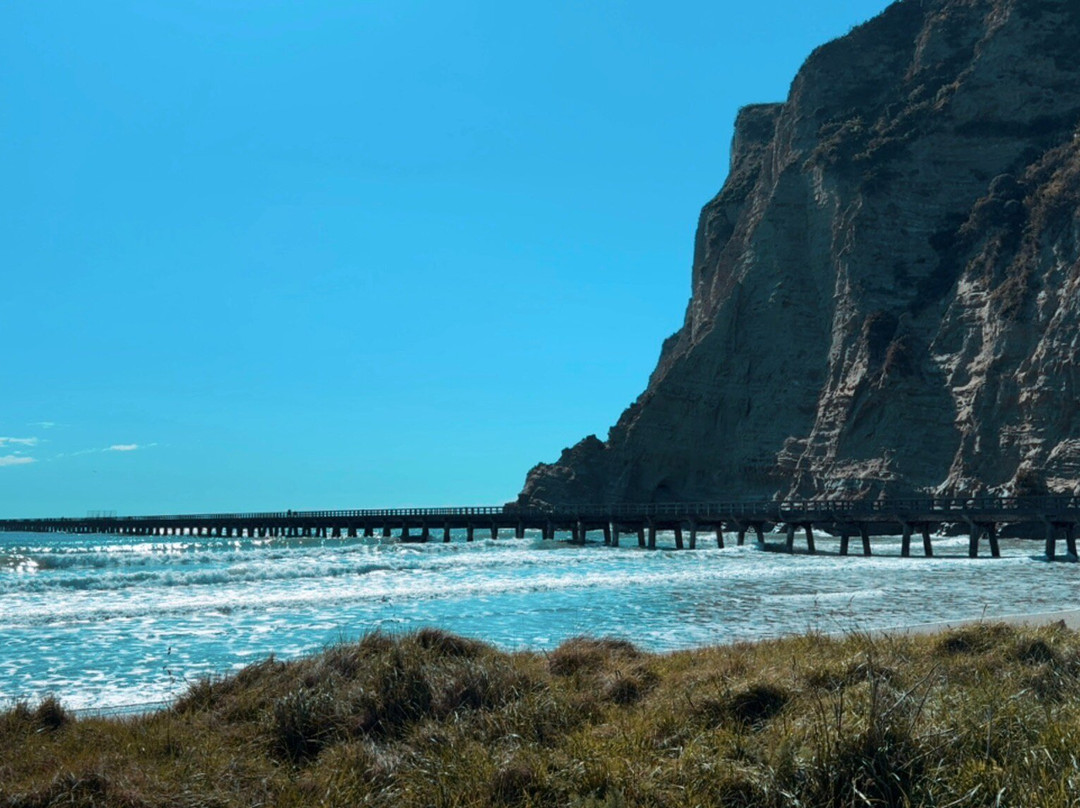 Tolaga Bay Historic Wharf-Tolaga Bay必去景点