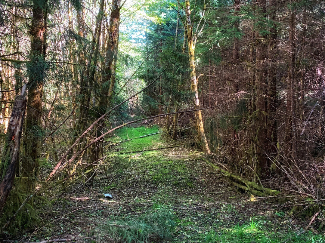 Tlall Heritage Site/Conservancy