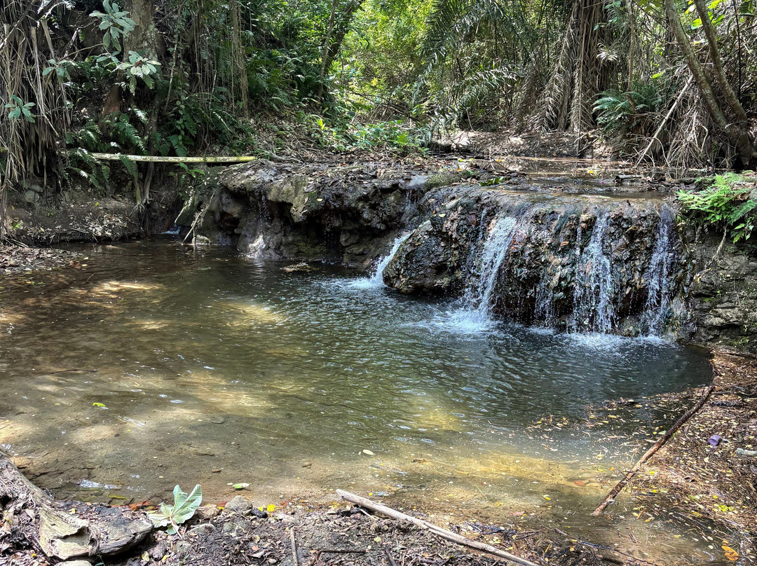 Rio Muchacho Organic Farm-Canoa必去景点