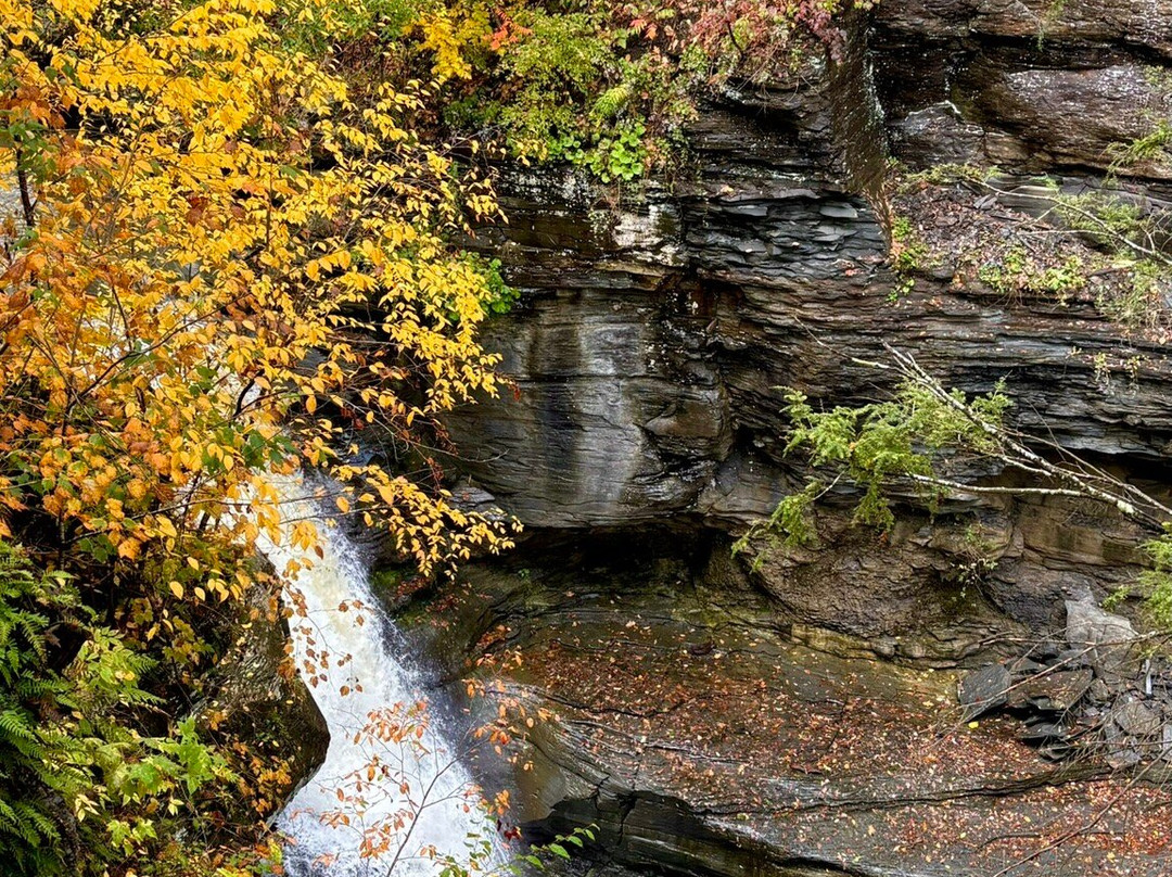 Mine Kill State Park-North Blenheim必去景点