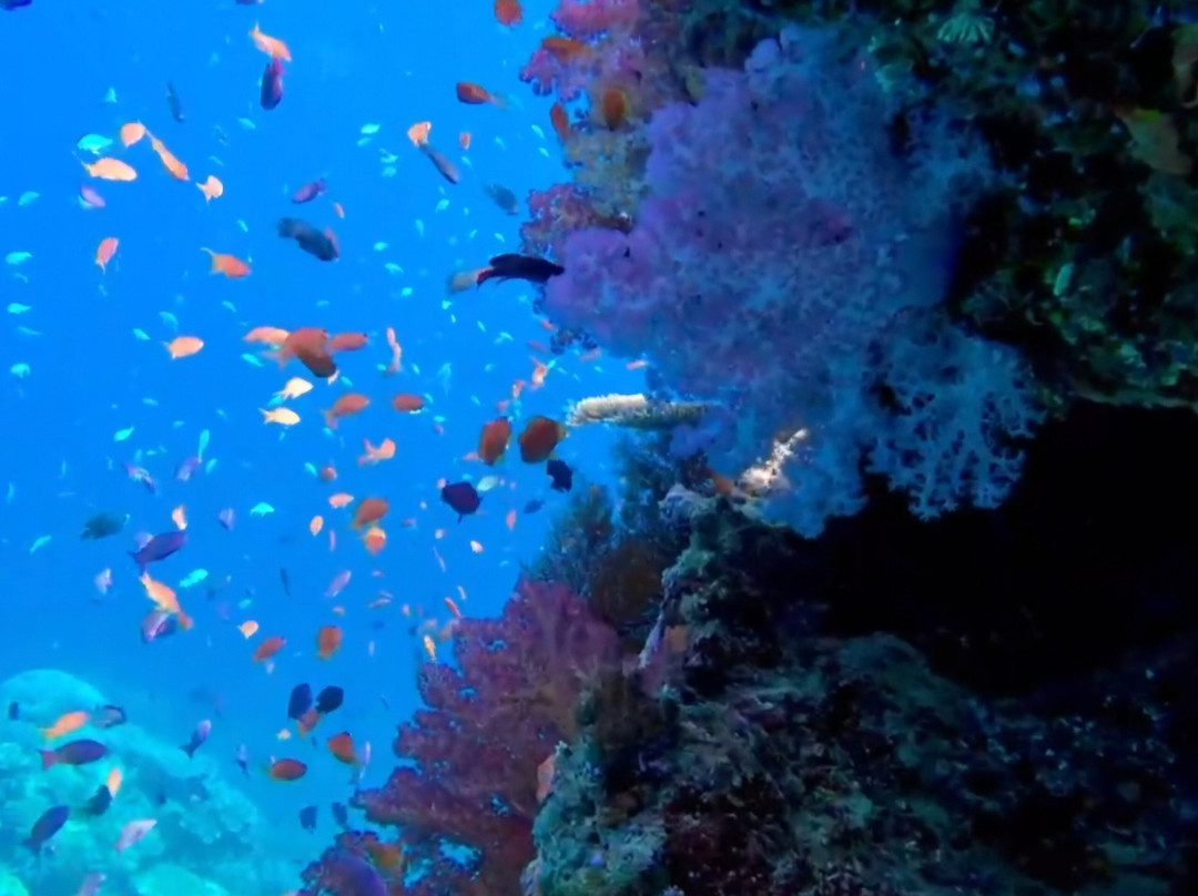 Golden Point Resort主图