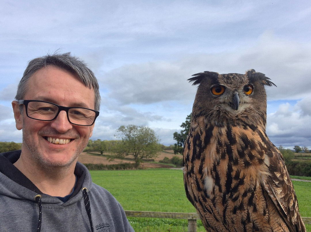 Ben Long Falconry Courses and Experience Days-Quedgeley必去景点