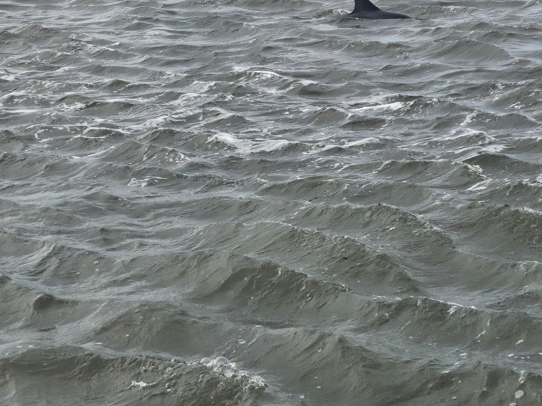 St. Phillips Island Ferry-Saint Helena Island必去景点