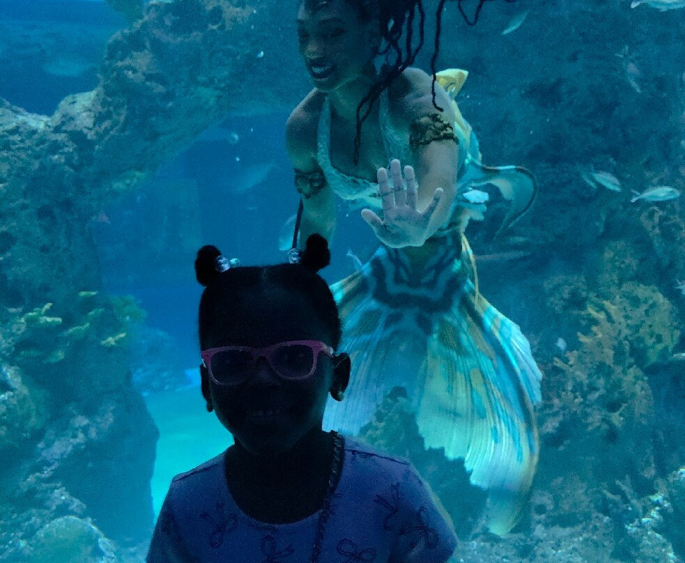 Mississippi Aquarium-格尔夫波特必去景点