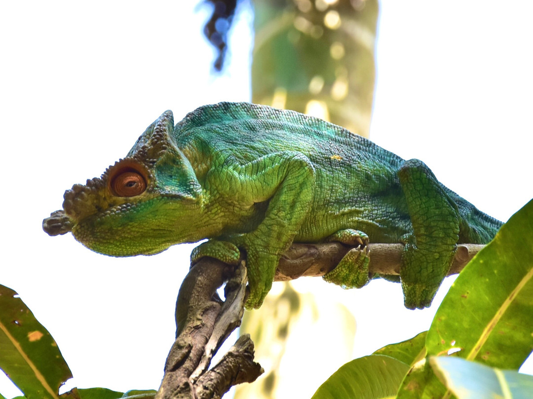 Lemuria Land-诺西贝必去景点