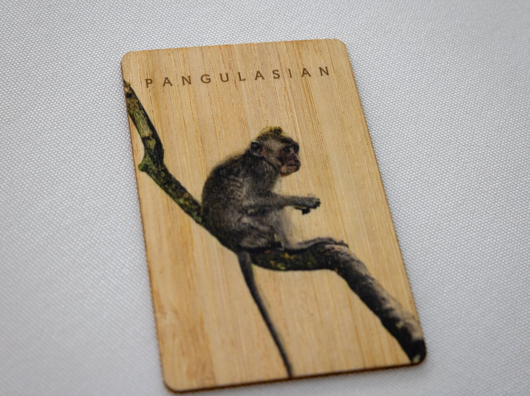 潘古拉西安岛艾尔尼多度假村主图