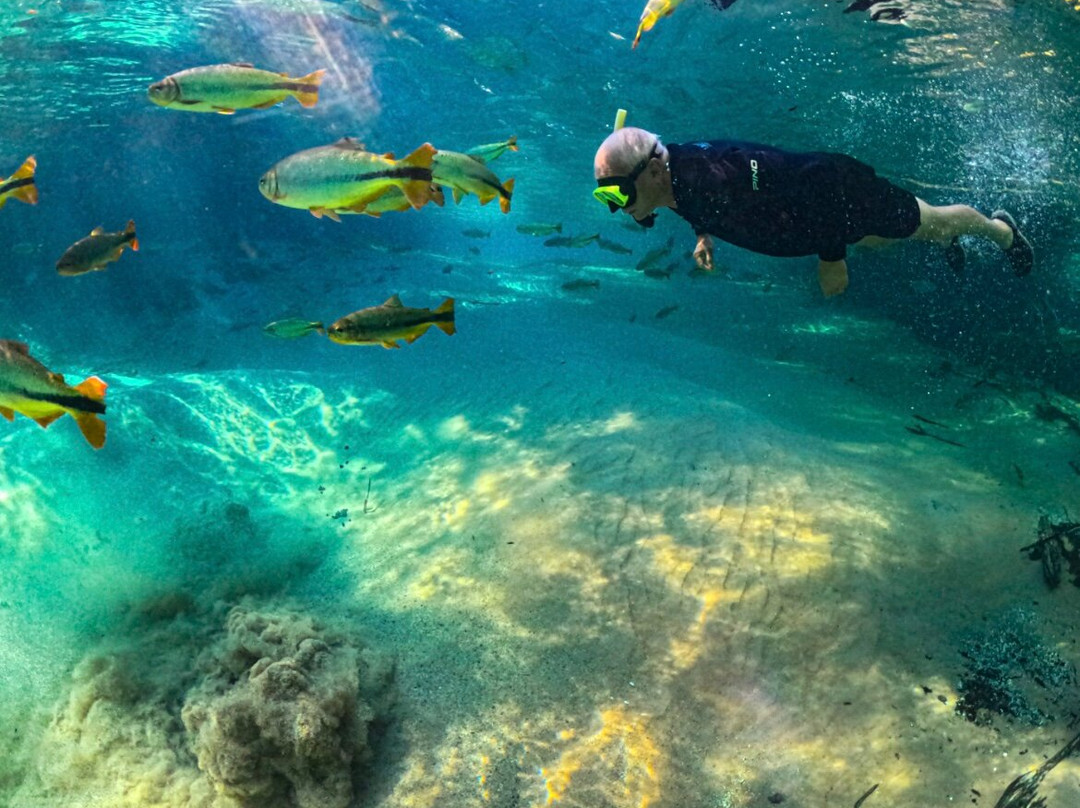 Recanto Ecologico Rio da Prata-博尼图必去景点