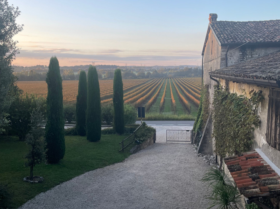 Winery Podere Selva Capuzza-代森扎诺-德尔加达必去景点