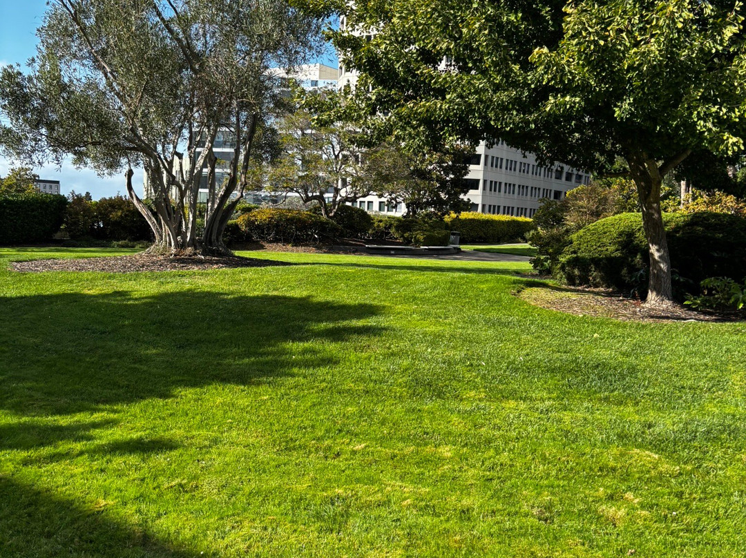 Kaiser Center Roof Garden-奥克兰必去景点
