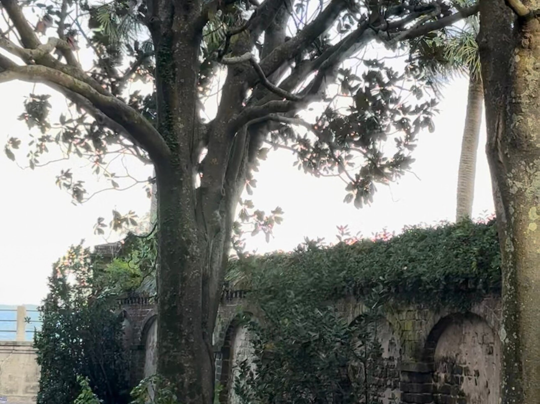 21 East Battery Bed and Breakfast主图