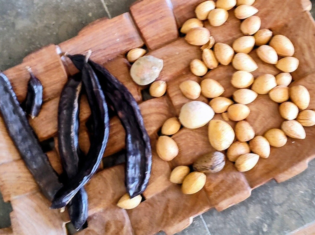 Taste Algarve - Day Lessons-塔维拉必去景点