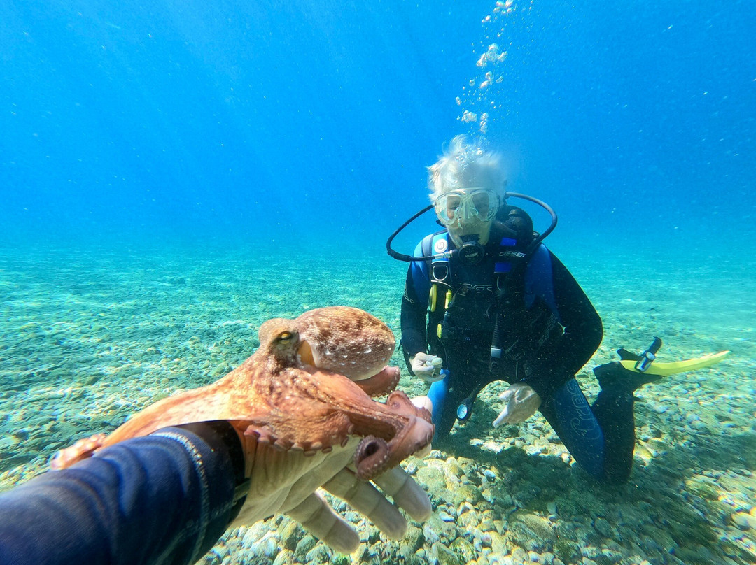 Porto Heli Scuba Club-Porto Heli必去景点
