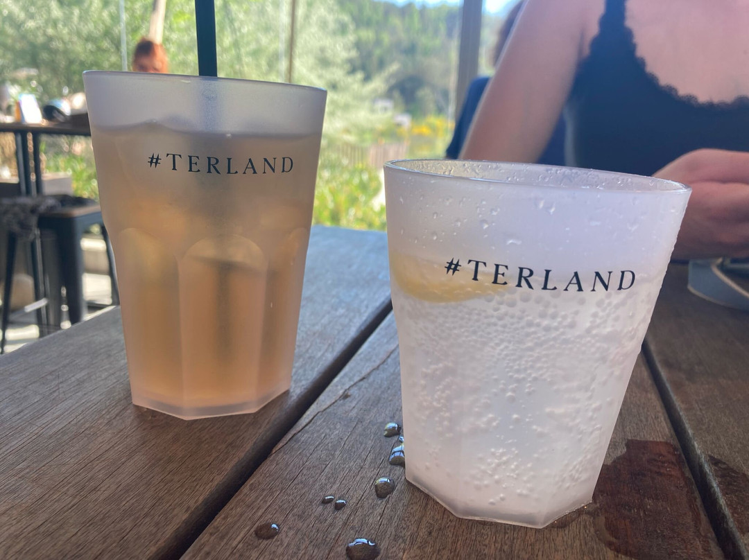 Terland