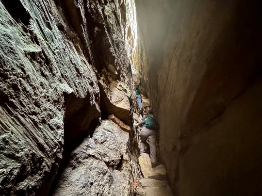Adventure Untamed-纽约市必去景点