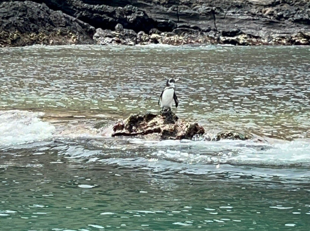 Bartolome Island, Galapagos, Ecuador-Bartolome必去景点