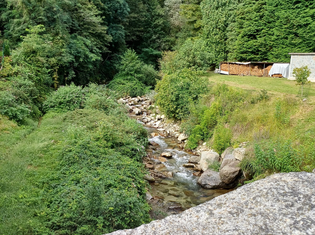 Ponte sul Pellino-Pella必去景点