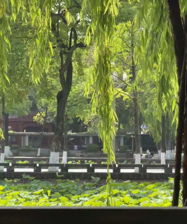 四川大学-成都必去景点